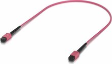 Optiline kaabel Ubiquiti UACC-OFC-MA-MPMP-0.5M-10, Indoor OM4 multi-mode fiber, 0.5 m, roosa