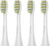 Hambaharja otsikud 4Swiss Daily Clean, valged, 4 tk