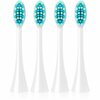 Hambaharja otsikud Concept Sensitive Clean ZK0072, valged, 4 tk