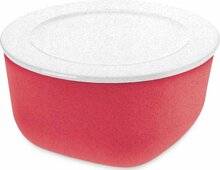 Toidukarp Koziol Connect L, 2 L