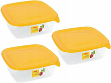 Toidukarbi komplekt Curver Fresh&Go, 3 x 0,8 L, kollane