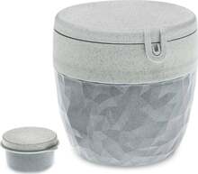 Toidukarpide komplekt Koziol Bento Club 3198672, 3 tk, organic grey