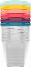 Toidu säilitustopsi komplekt Babymoov Babybols, 6 x 250 ml
