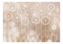 Fototapeet Artgeist Radiant Flowers, 210 cm x 300 cm