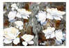 Fototapeet Artgeist Small Gesture, 280 cm x 400 cm