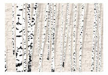 Fototapeet Artgeist Birchen Grove, 280 cm x 400 cm