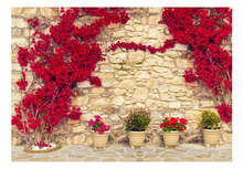 Fototapeet Artgeist Warm Afternoon NEW010662, 245 cm x 350 cm