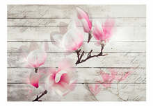 Fototapeet Artgeist Gentleness Of The Magnolia, 175 cm x 250 cm