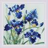 Tikkimiskomplekt Riolis Blue Irises SR2102, 30 x 30 cm