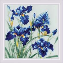 Tikkimiskomplekt Riolis Blue Irises SR2102, 30 x 30 cm