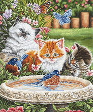 Tikkimiskomplekt Letistitch Splashing Up Some Fun SLETIL8028