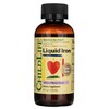 ChildLife vedel raud, loodusliku marjamaitsega, 118 ml