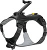Insta360 lemmiklooma rakmed Size S GO 3 / GO 3S