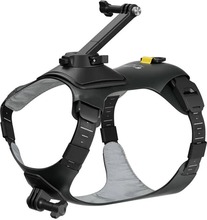 Insta360 lemmiklooma rakmed Size S GO 3 / GO 3S