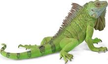 Mängufiguur Collecta Iguana (XL), 88965, roheline, 13.8 cm