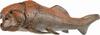 Figur Collecta Dunkleosteus, 88817