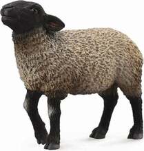 Mängukujuke Collecta Suffolk, 88636, 9.5 cm