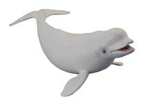 Mängufiguur Collecta Beluga vaal (L), 88568