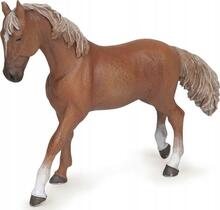 Mängukujuke Papo Alezan English Thoroughbred Mare 427426