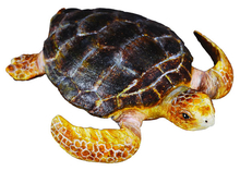 Mängufiguur Collecta kilpkonn (M), 88094, 7 cm