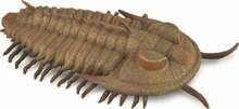 Mängukujuke Collecta Redlichia Rex Trilobite, 88906, L