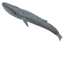 Mängukujuke Collecta sinivaal, 88834