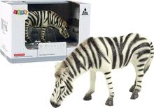 Kogumisfiguur Lean Toys sebra