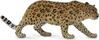Mängukujuke Collecta Amuuri leopard, 88708, 13.5 cm