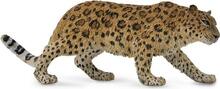 Mängukujuke Collecta Amuuri leopard, 88708, 13.5 cm