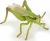 Mängukujuke Papo Grasshopper 410745