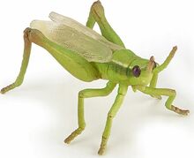 Mängukujuke Papo Grasshopper 410745
