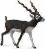 Mängukujuke Collecta Blackbuck 88638, 8.4 cm