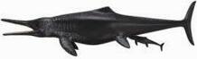 Mängukujuke Collecta Temnodontosaurus Platyodon, 88724, 17.6 cm