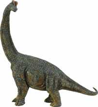 Mängukujuke Collecta Deluxe Brachiosaurus, 1:40, 88405, hall
