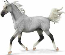 Mängukujuke Collecta Half Arabian Stallion 490701, hall