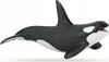 Mängukujuke Papo Killer Whale 427498, 19 cm
