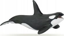 Mängukujuke Papo Killer Whale 427498, 19 cm
