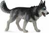 Mängukujuke Collecta Siberi husky 88707, 10.5 cm, valge/hall