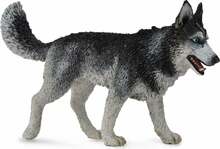 Mängukujuke Collecta Siberi husky 88707, 10.5 cm, valge/hall