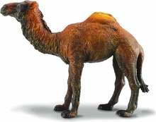 Mängukujuke Collecta Dromedary Camel 88208, 10 cm
