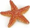Mängukujuke Papo Starfish 442856
