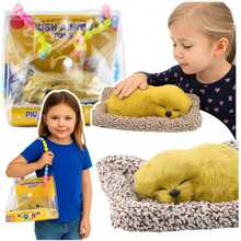Dekoratiivne figuur Lean Toys Sleeping Labrador on a Pillow