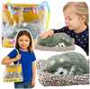 Dekoratiivne figuur Lean Toys Sleeping Husky Dog on a Pillow