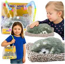 Dekoratiivne figuur Lean Toys Sleeping Husky Dog on a Pillow