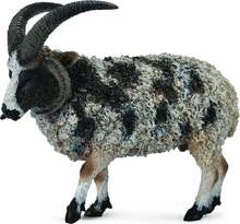 Mängukujuke Collecta Jacob Sheep 88728, 8.4 cm