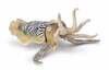 Mängufiguur Collecta Common Cuttlefish XL, 80009, 10.4 cm
