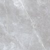 Plaat Golden Tile Space Stone Grey Matt, 60 x 60 cm, hall