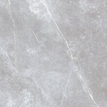 Plaat Golden Tile Space Stone Grey Matt, 60 x 60 cm, hall