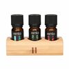 Saunaessentside komplekt Rento, 3 x 10 ml, bambusalusel