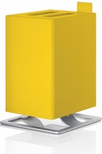 Stadler Form Anton